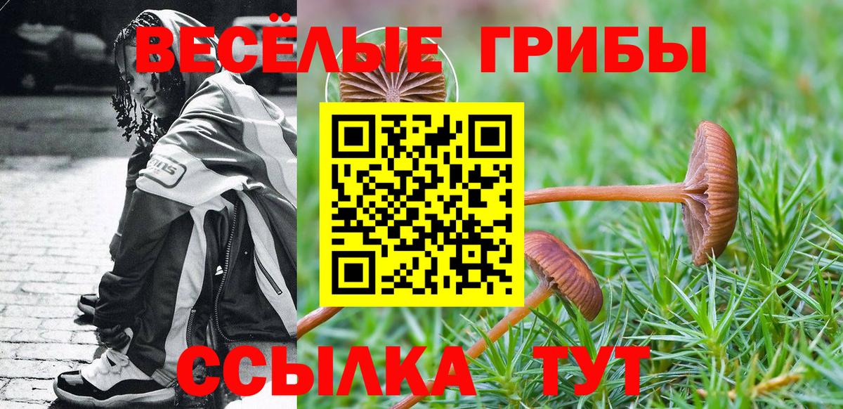 Псилоцибиновые грибы прущие грибы Бирск