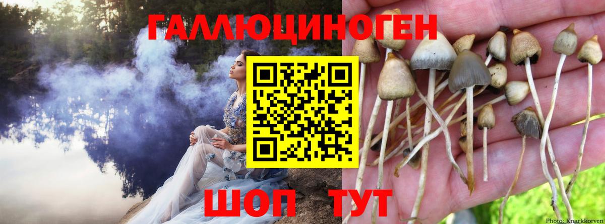 Бирск  Псилоцибиновые грибы ЛСД  Вход с VPN 